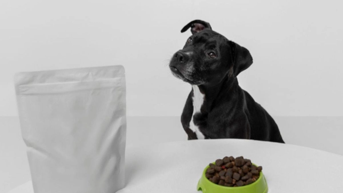 Step 1: Check Your Current Bag