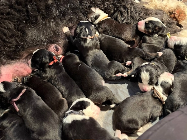 The Reality Was Heartbreaking
