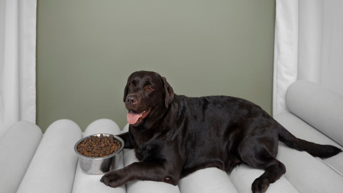 The 63% Problem: Unmasking the Silent Killer