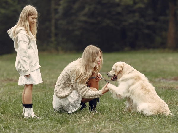 The Smartest Learn Even More