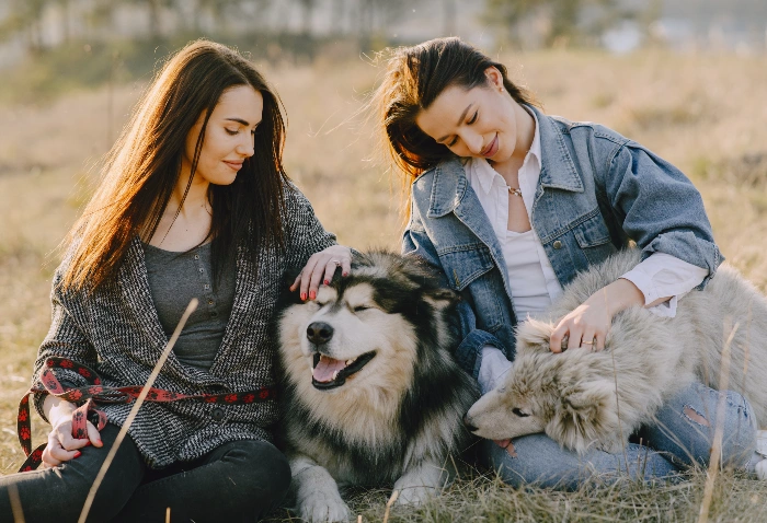 The Unique Bond Between Dogs and Their Humans