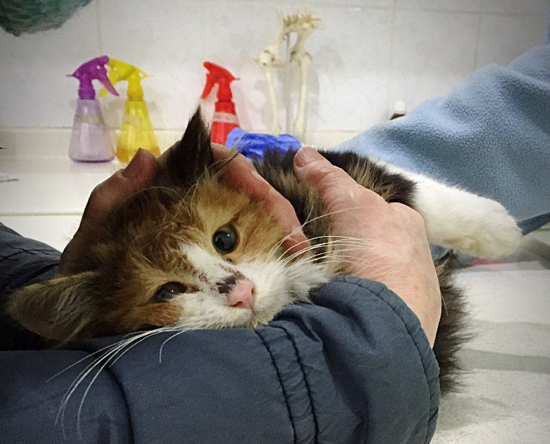 The bathroom problems are worse.