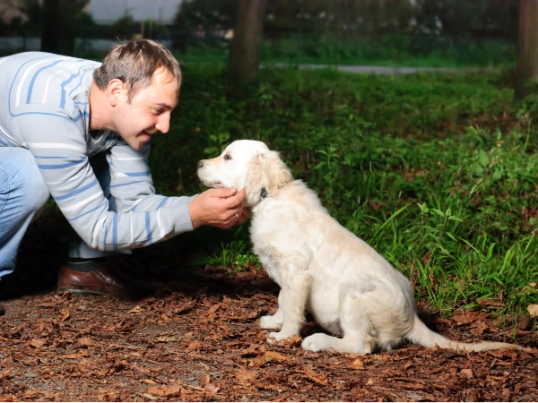 They Can Hear Way Better Than You