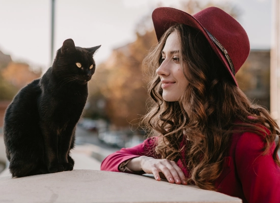 They Love You (The Soft Stare)