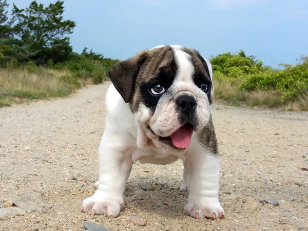 They Only Do It When You're Watching