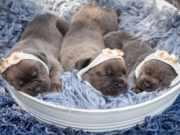 They Sleep More Than Your Lazy Teenager
