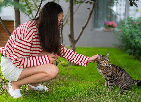 They Want Your Attention