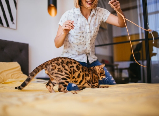 They Want to Play (The Hunt Stare)