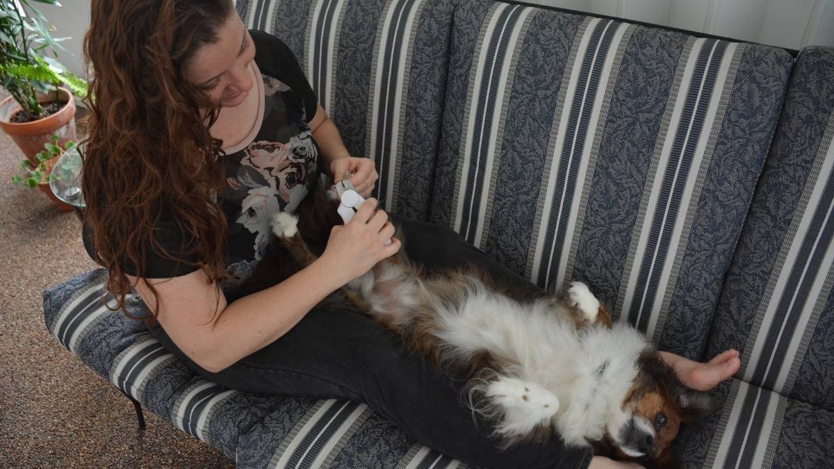 This Common Mistake is Making Your Dogs Separation Anxiety 10x Worse 1