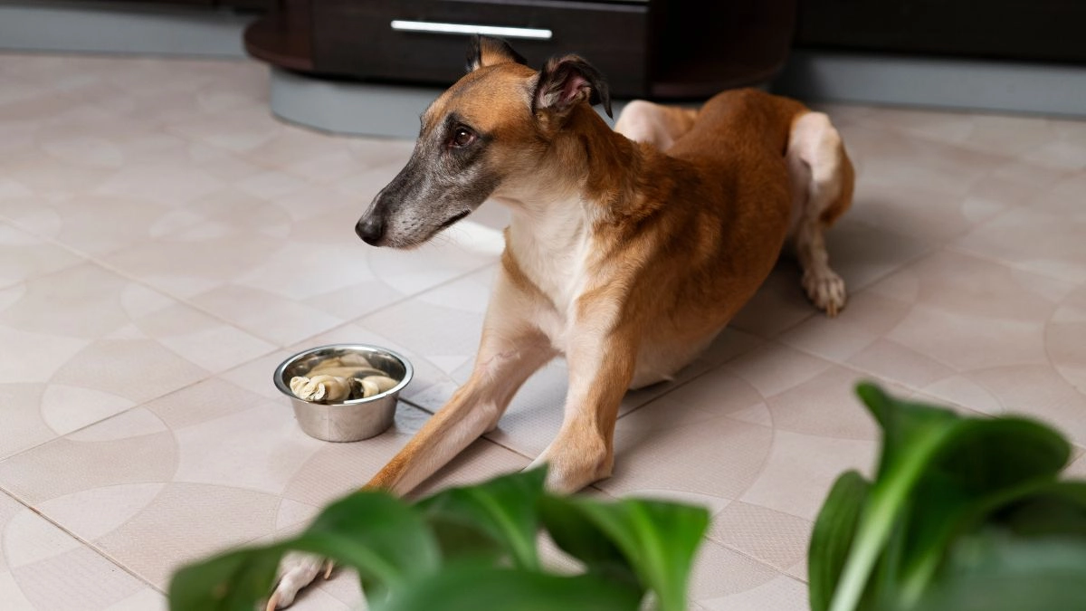 Ultimately, this is a sign of low-quality sourcing