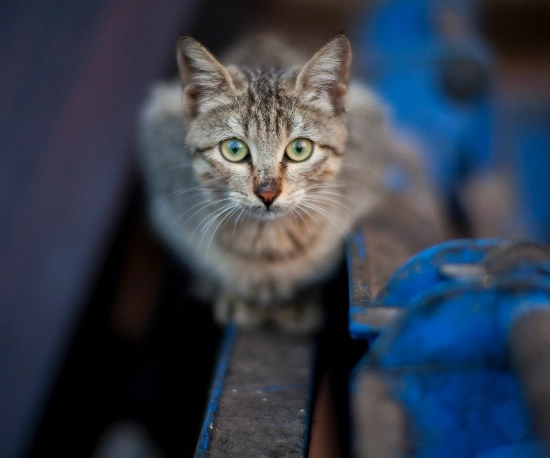 Warning - Back Off (The Hard Stare)