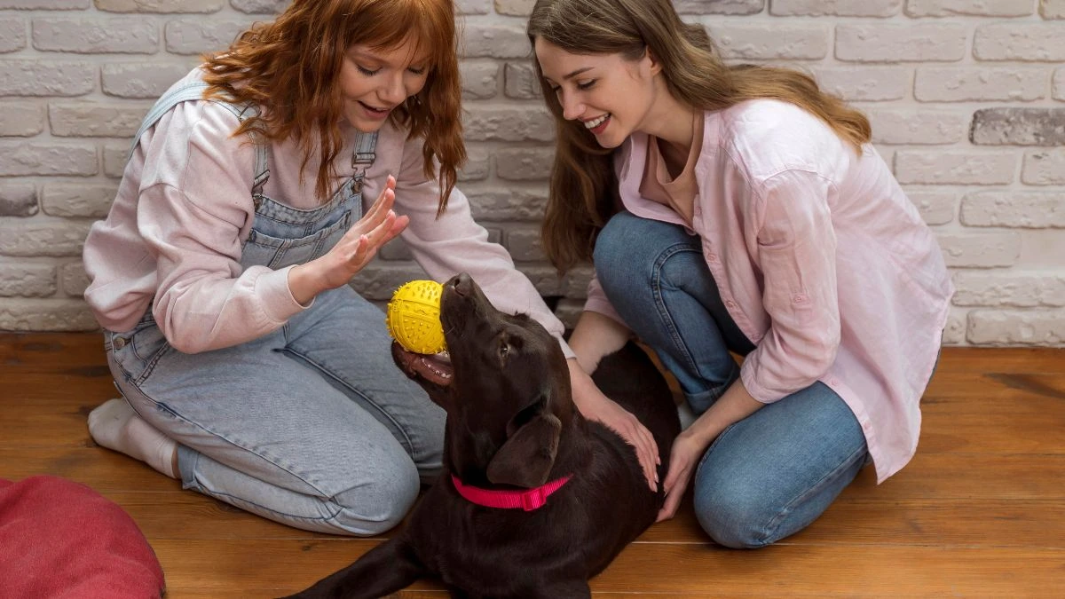 What Effective Training Actually Looks Like