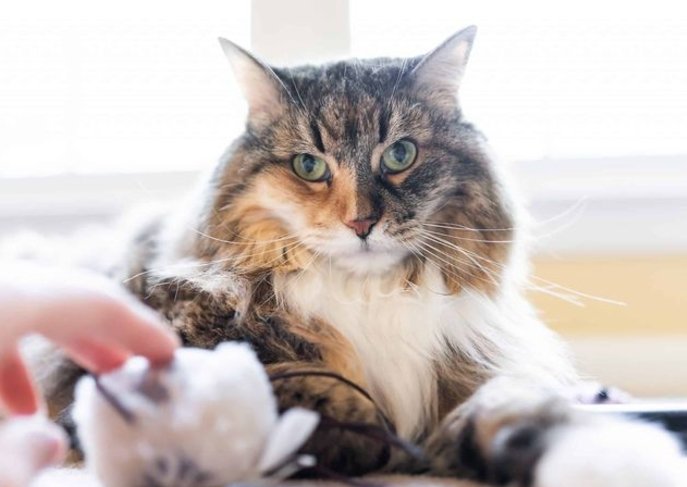 What You Can Do Instead