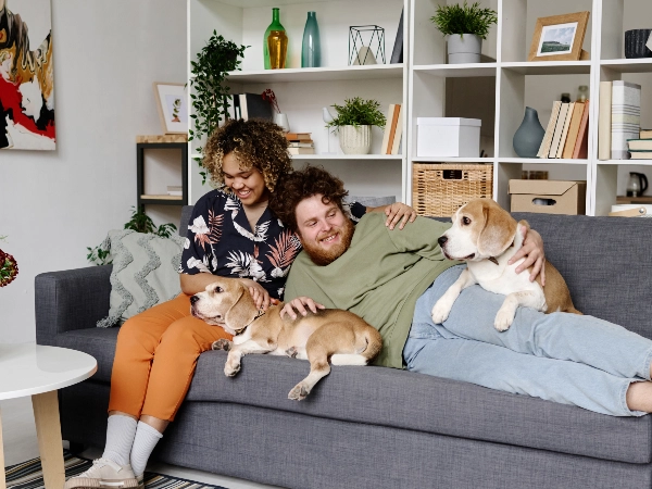 My Partner Doesn't Want a Pet and It's Ruining Our Relationship 4 What Your Partner Might Really Be Thinking?