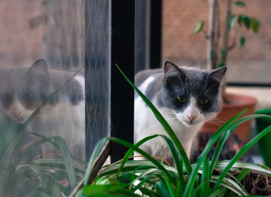 When Curiosity Kicks In?