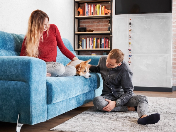 My Partner Doesn't Want a Pet and It's Ruining Our Relationship 14 When "No" Means "Not Right Now"