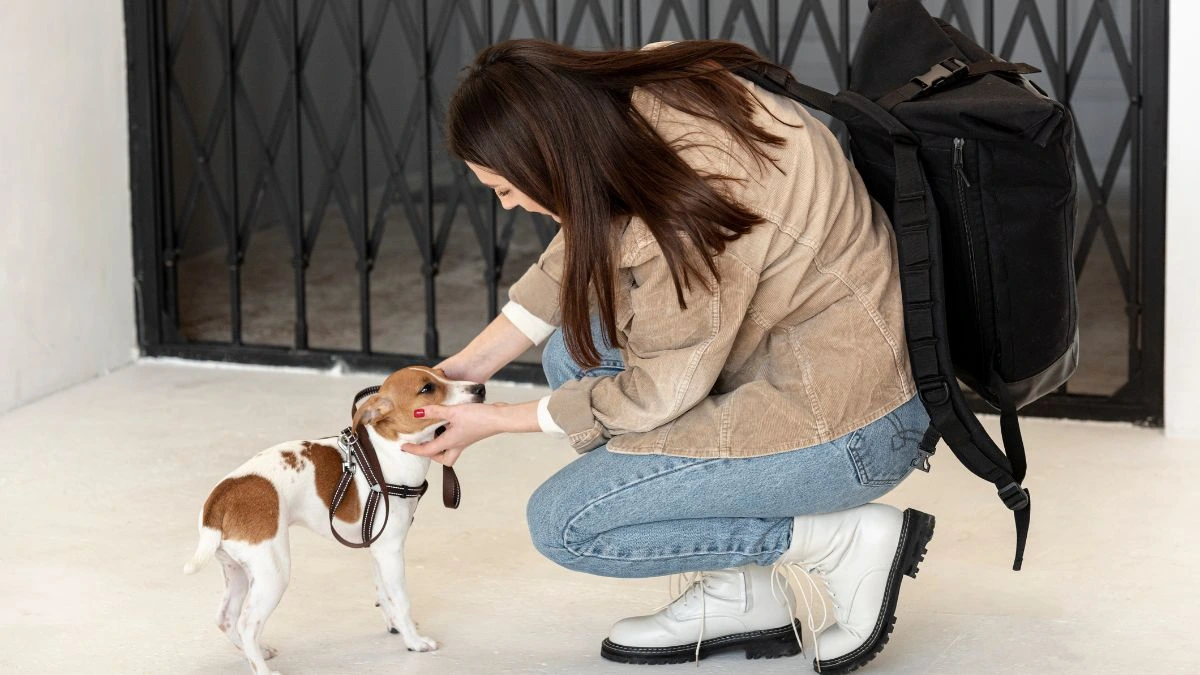 When "Sudden" Aggression Isn't Sudden at All