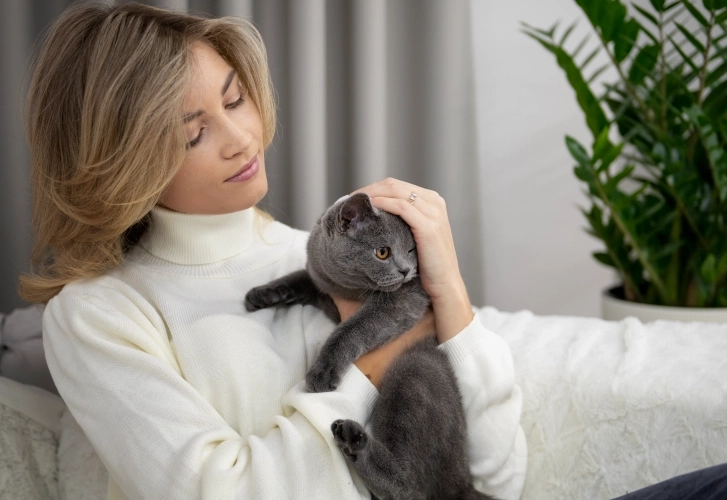 You Don't Need to Own a Cat