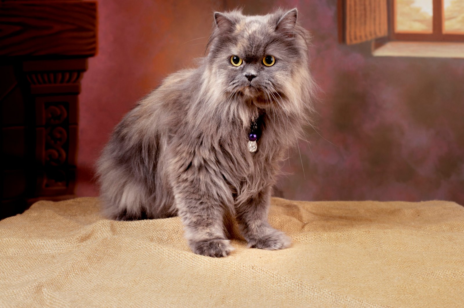 And it doesn't stop there.