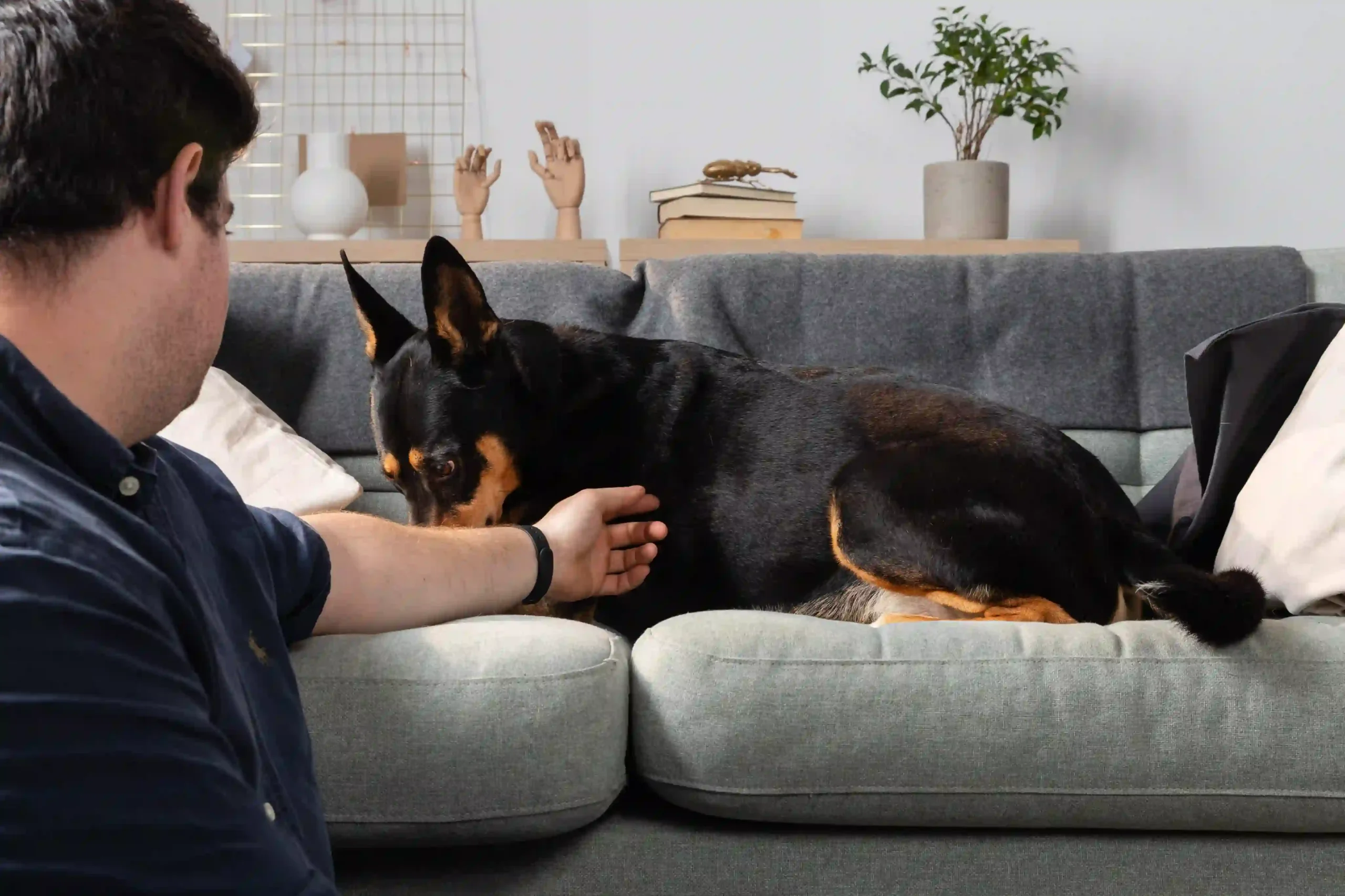 Bad Advice Is Everywhere