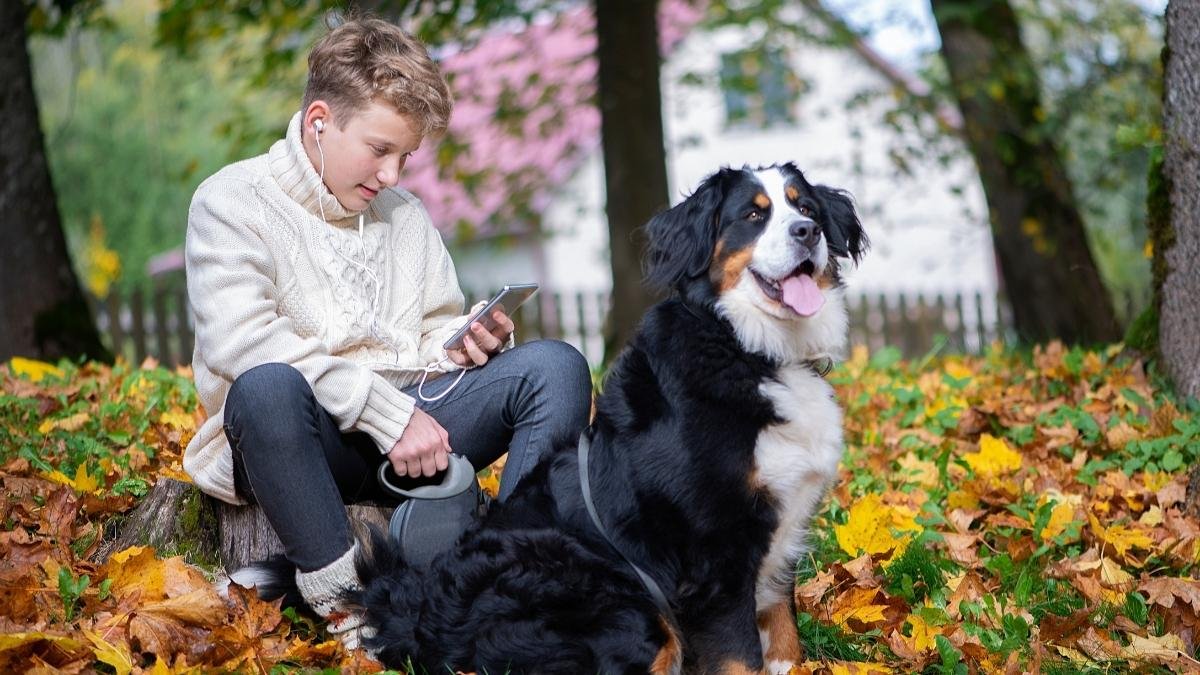 13 Heartwarming Signs Your Dog Loves You 8 13 Heartwarming Signs Your Dog Loves You