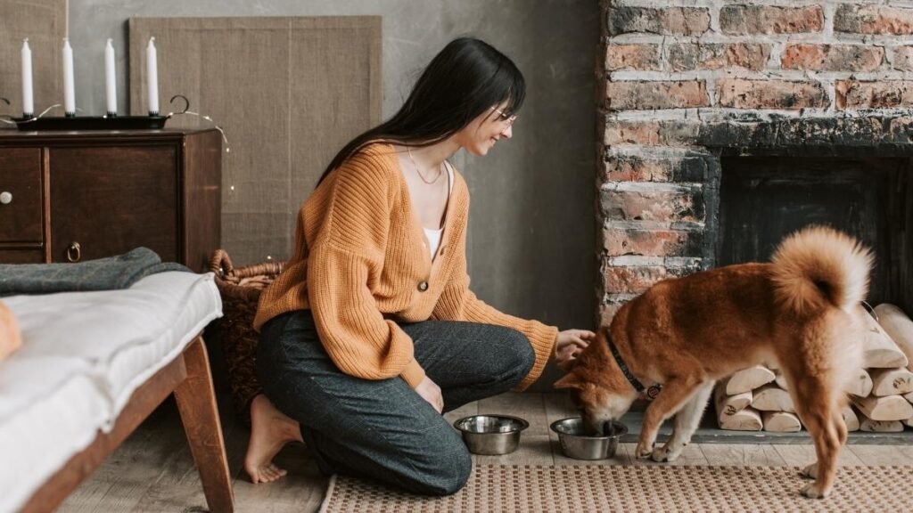 How Dogs Behave Before Death & What to Do 6 Creating a Hospice Environment at Home 1