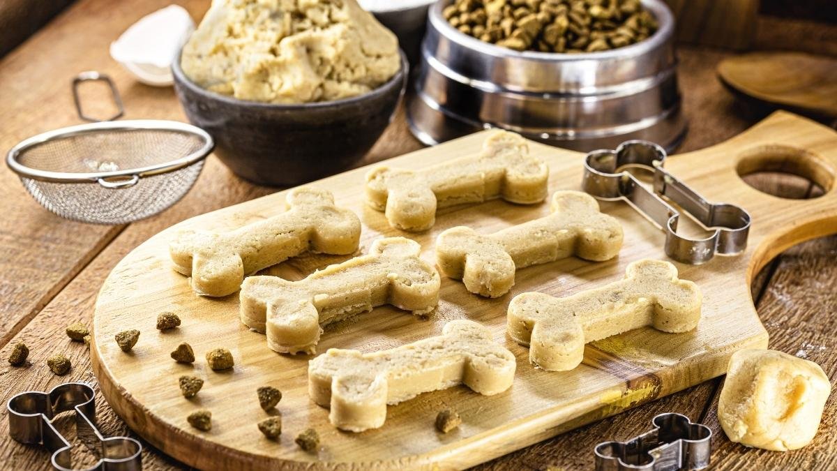 Easy Pumpkin No Bake Treats for Dogs 6 Easy Pumpkin No Bake Treats for Dogs