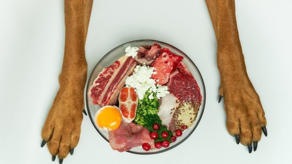 How to Build a Senior Friendly Plate The 7 Foods You Need and 5 to Avoid Most Seniors Get This Wrong 1 1