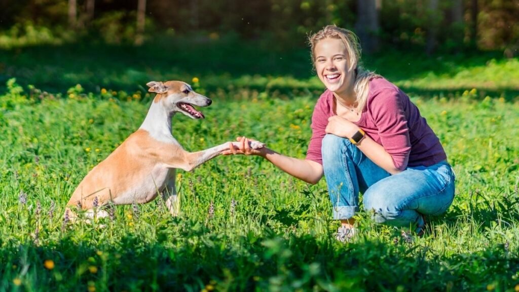 They Greet You With Full Body Wiggles