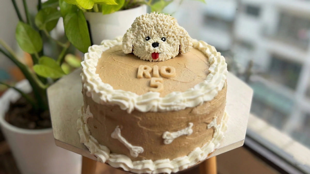 5 Vet Approved Safe Dog Birthday Cake Recipes