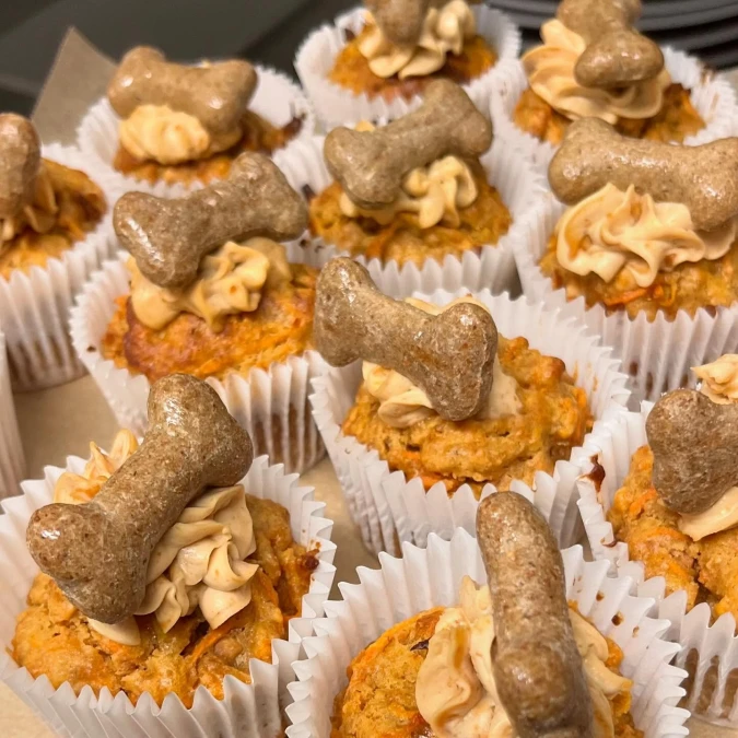 broadstairspavilion 1738234857 3556894239611853135 6009112641