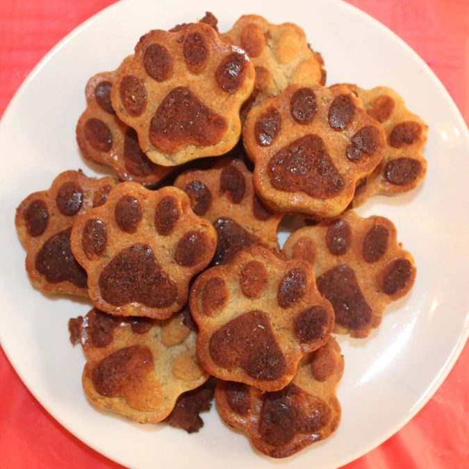 pupsandsuchtreats 1766978041 3798009547965943916 16356628936