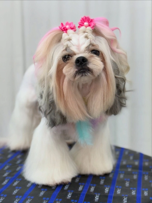 The Creative Color Cut