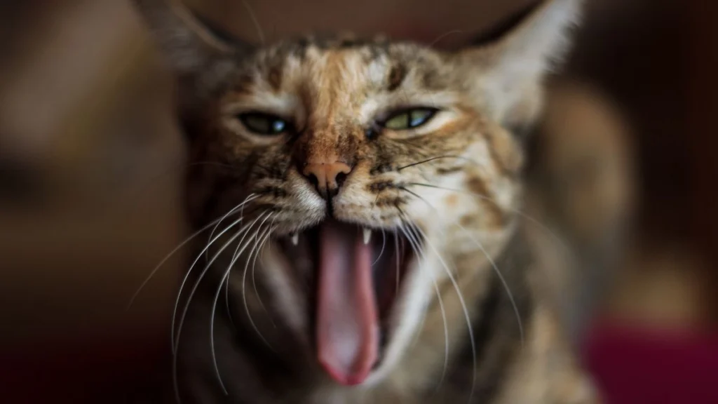 Massive Space, Housing, and Environmental Needs