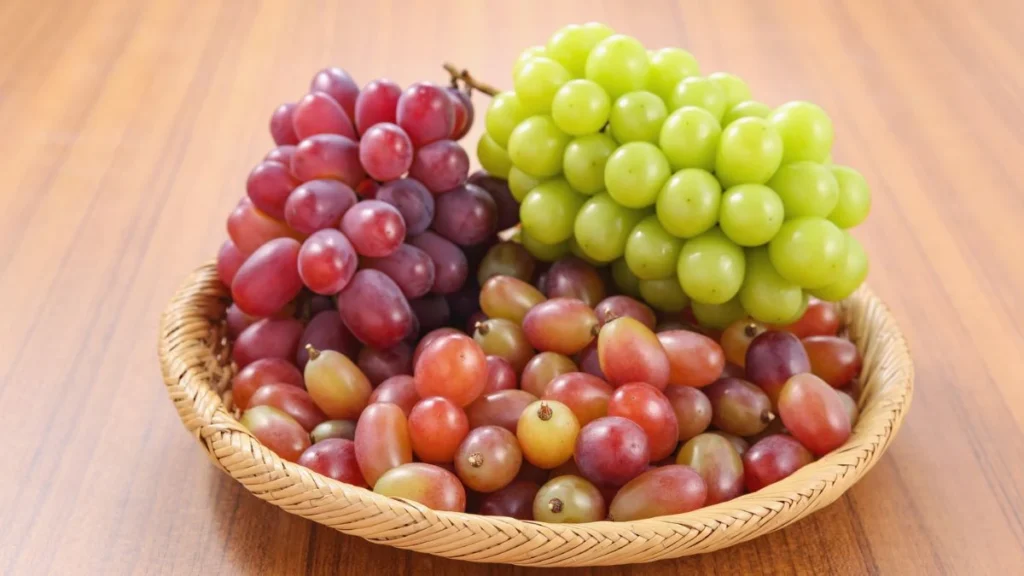 27 Common Foods That Are Secretly Poisonous to Dogs 2 1 33