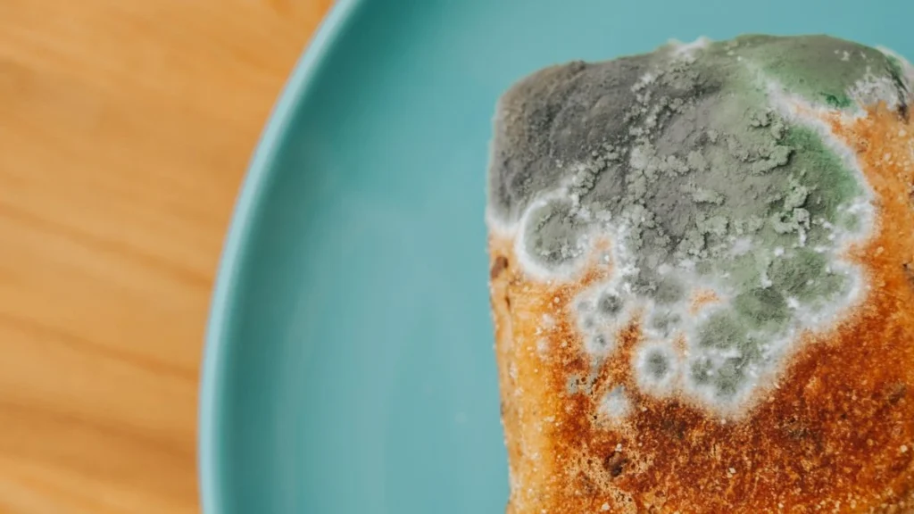 27 Common Foods That Are Secretly Poisonous to Dogs 18 1 47