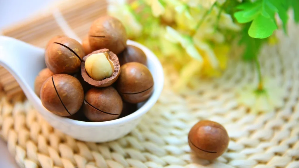 27 Common Foods That Are Secretly Poisonous to Dogs 11 1 8