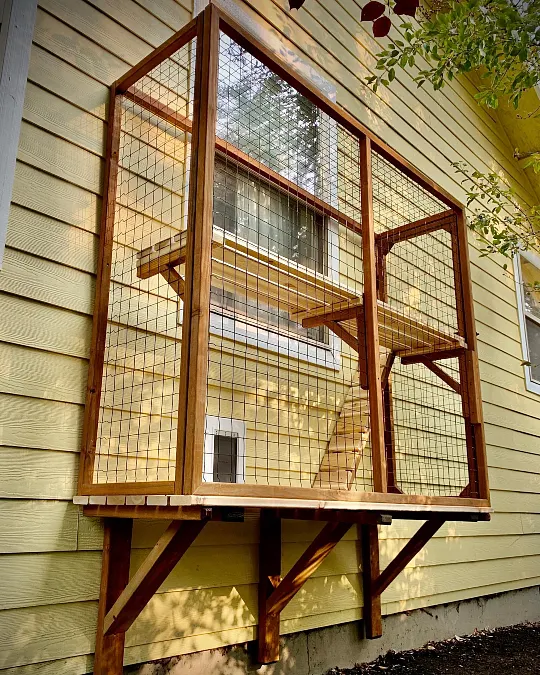 A Sunlit Multi-Level Window Catio