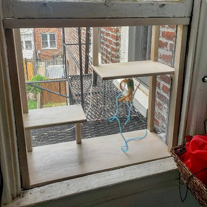DIY Window Insert Catio