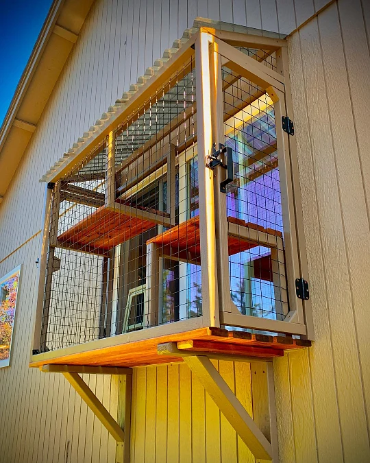 Compact Golden-Hour Window Catio