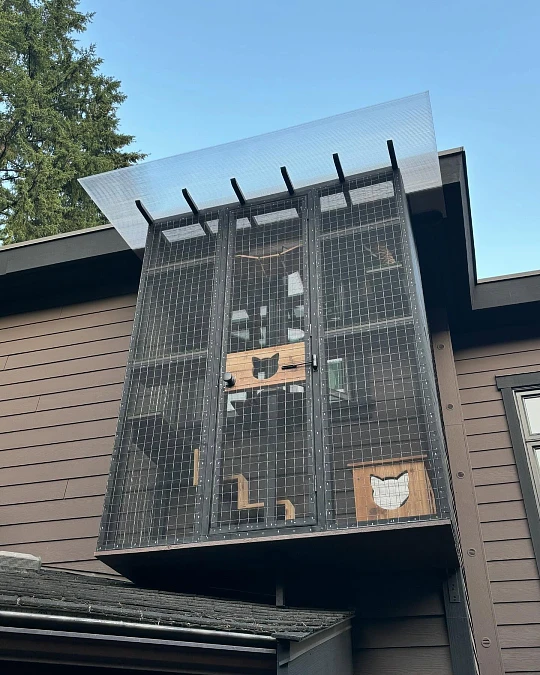 Black Mesh + Cat Cutouts + Clear Roof