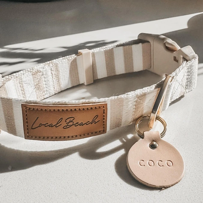 Neutral Striped Collar With Leather Name Tag