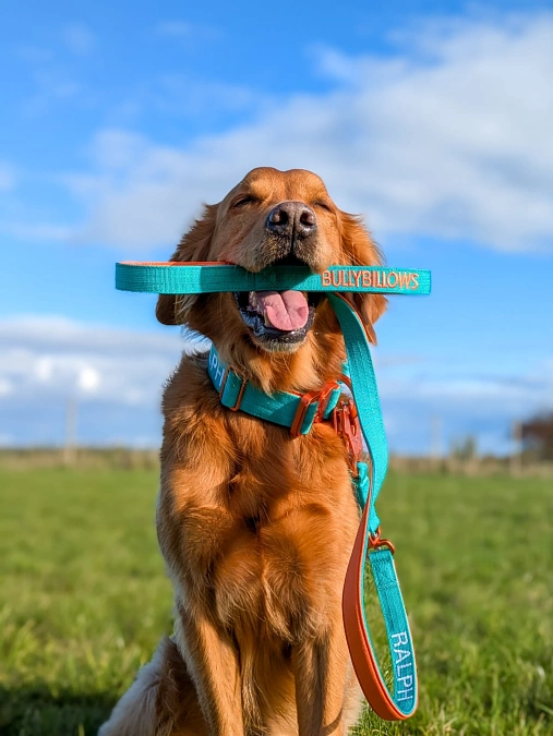Teal Personalized Collar and Leash Set