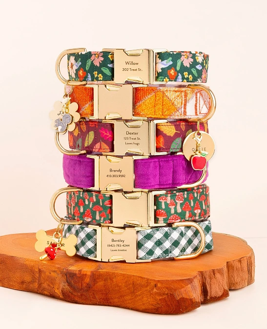 Personalized Patterned Collars With Engraved Buckles