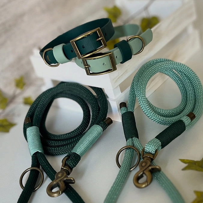Two Tone Green Collar and Rope Leash Set