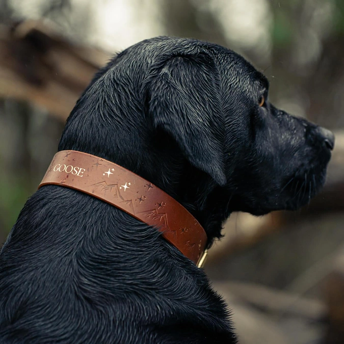 Engraved Mountain Leather Collar