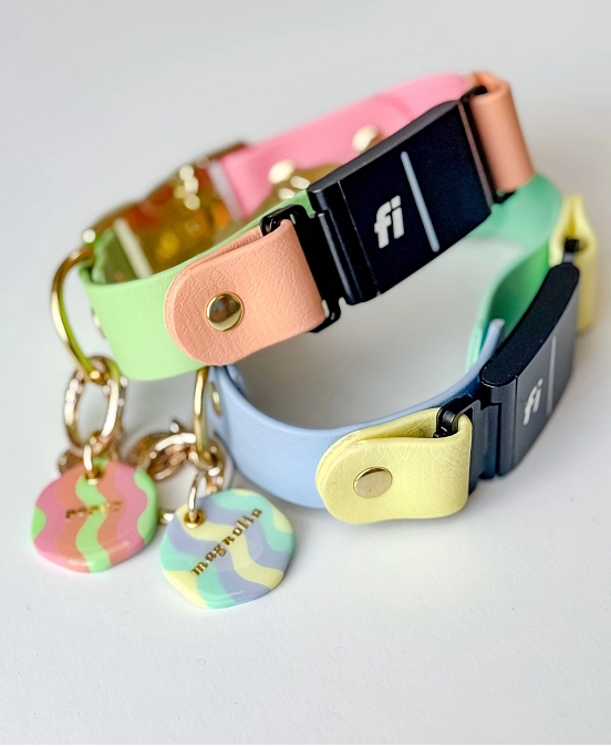 Pastel Color Block Collars With Custom Tags