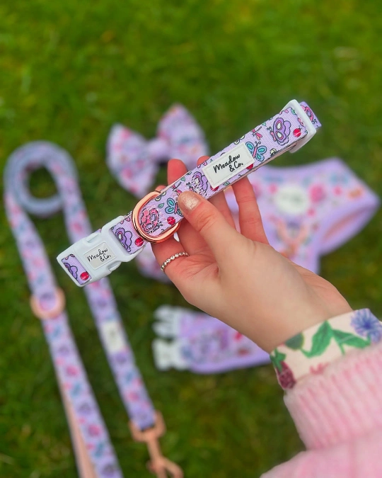 Lavender Butterfly Collar Set