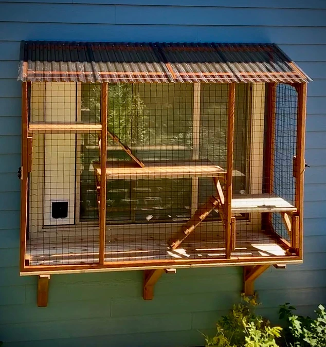 A Window-Mounted Cat Catio