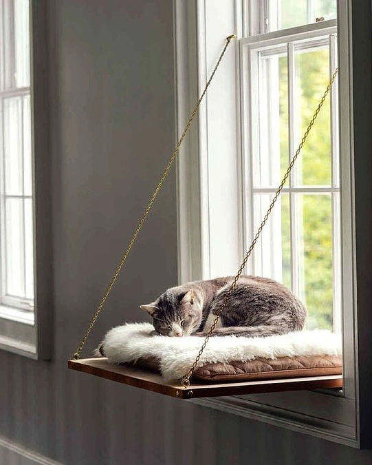 A Suspended Window Lounge